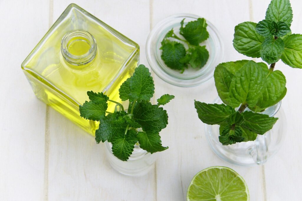 Ramitas de menta con una botellita que parece aceite esencial.